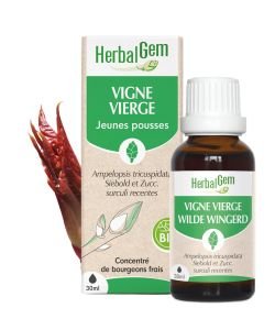 Vigne vierge (Ampelopsis veitchii) j.p. BIO, 30 ml